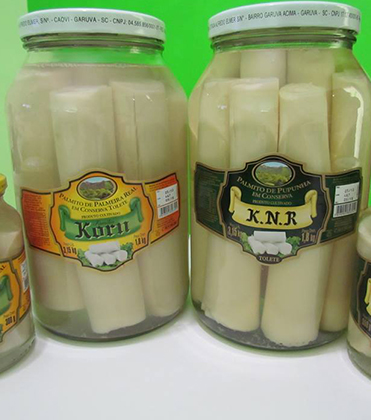 Conservas KNR